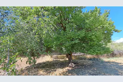 3647 E Sycamore Lane, Lake Montezuma, AZ 86342 - Photo 19