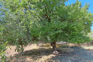 3647 E Sycamore Ln, Lake Montezuma, AZ 86342 - Photo 19