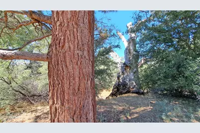 3647 E Sycamore Lane, Lake Montezuma, AZ 86342 - Photo 21