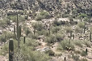3246 N Silver Tip Trail, Queen Valley, AZ 85118 - Photo 1