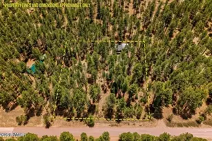 70 County Road 2266 --, Alpine, AZ 85920 - Photo 3