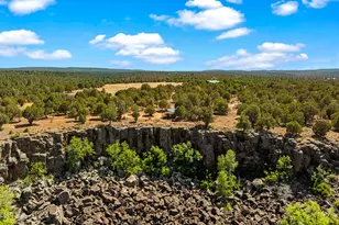 3750 W Pine Mesa Ranch Rd, Show Low, AZ 85901 - Photo 63