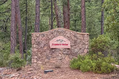 4364 N Strawberry Hollow --, Pine, AZ 85544 - Photo 69