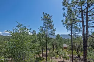 4364 N Strawberry Hollow --, Pine, AZ 85544 - Photo 61