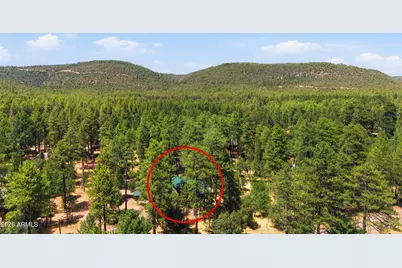 5111 N Fossil Creek Lane, Pine, AZ 85544 - Photo 5