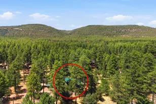 5111 N Fossil Creek Ln, Pine, AZ 85544 - Photo 5
