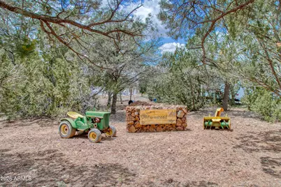 21 N3095 -- #2, Show Low, AZ 85901 - Photo 1