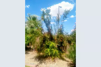 11490 S Morningside Drive, Goodyear, AZ 85338 - Photo 11