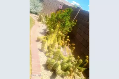 11490 S Morningside Drive, Goodyear, AZ 85338 - Photo 13