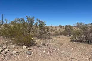 26113 N 113th Ave, Peoria, AZ 85383 - Photo 5