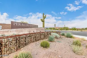 7313 S Bennett Circle, Gold Canyon, AZ 85118 - Photo 81