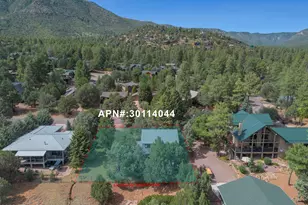 6203 W Hidden Pines Loop, Pine, AZ 85544 - Photo 41