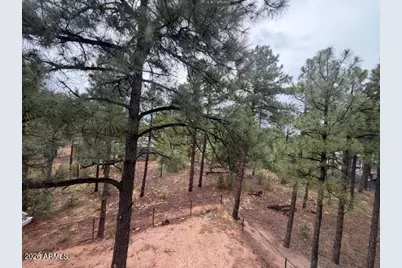1080 S Redberry Drive, Show Low, AZ 85901 - Photo 53