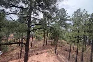 1080 S Redberry Dr, Show Low, AZ 85901 - Photo 53