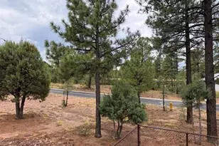 1080 S Redberry Dr, Show Low, AZ 85901 - Photo 43