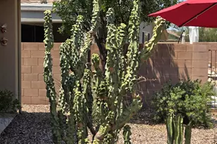 1650 W Dion Dr, Anthem, AZ 85086 - Photo 45