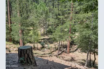 4255 N Strawberry Hollow, Pine, AZ 85544 - Photo 31