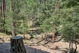 4255 N Strawberry Hollow, Pine, AZ 85544 - Photo 31