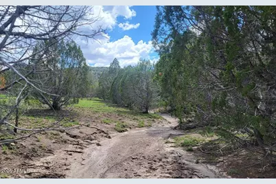 111 N Ranch Road #111, Williams, AZ 86046 - Photo 5