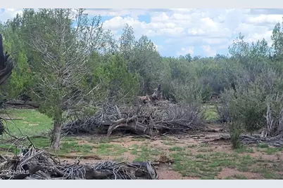 111 N Ranch Road #111, Williams, AZ 86046 - Photo 17