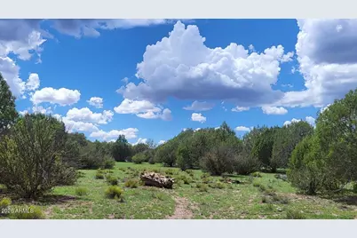 111 N Ranch Road #111, Williams, AZ 86046 - Photo 3