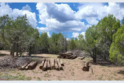 111 N Ranch Road #111, Williams, AZ 86046 - Photo 9