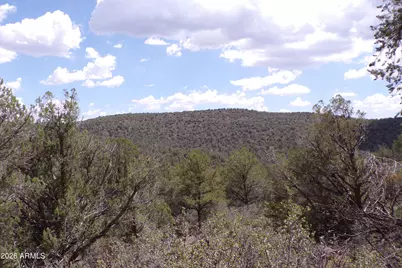 4619 N Lookout Canyon Road, Kingman, AZ 86401 - Photo 25