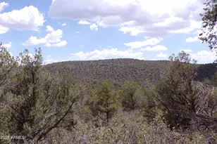 4619 N Lookout Cyn Rd, Kingman, AZ 86401 - Photo 25