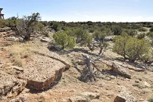 12 N8543, Concho, AZ 85924 - Photo 61