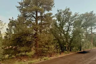 645 E Trout Creek Rd, Munds Park, AZ 86017 - Photo 1