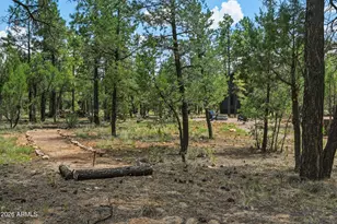 6607 Mogollon Trail, Happy Jack, AZ 86024 - Photo 51