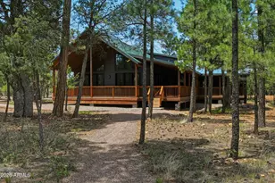 6607 Mogollon Trail, Happy Jack, AZ 86024 - Photo 3