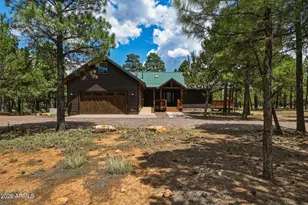 6607 Mogollon Trail, Happy Jack, AZ 86024 - Photo 45