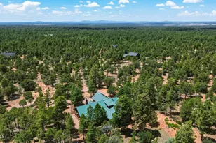 6607 Mogollon Trail, Happy Jack, AZ 86024 - Photo 67