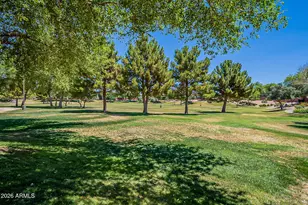 10133 E Kilarea Ave, Mesa, AZ 85209 - Photo 43