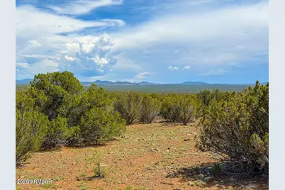 0 Gample Ln 13 Acres (Lot A) -- #-, Show Low, AZ 85901 - Photo 15
