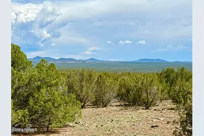 0 Gample Ln 13 Acres (Lot A) -- #-, Show Low, AZ 85901 - Photo 7