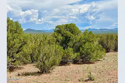 0 Gample Ln 13 Acres (Lot A) -- #-, Show Low, AZ 85901 - Photo 19