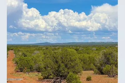 0 Gample Ln 13 Acres (Lot B) -- #-, Show Low, AZ 85901 - Photo 15
