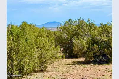 0 Gample Ln 13 Acres (Lot B) -- #-, Show Low, AZ 85901 - Photo 5