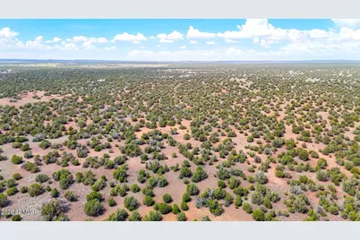 0 Gample Ln 13 Acres (Lot B) -- #-, Show Low, AZ 85901 - Photo 9