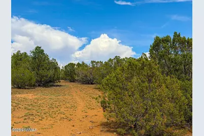 0 Gample Ln 13 Acres (Lot C) -- #-, Show Low, AZ 85901 - Photo 7