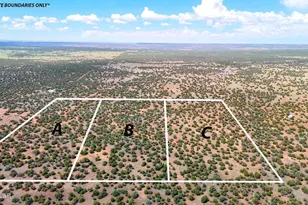 0 Gample Ln 13 Acres (Lot C) --, Show Low, AZ 85901 - Photo 1