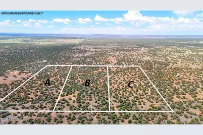 0 Gample Ln 13 Acres (Lot C) -- #-, Show Low, AZ 85901 - Photo 3