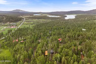 26 N1062, Greer, AZ 85927 - Photo 41