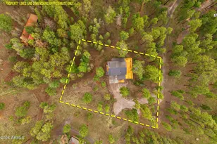 26 N1062, Greer, AZ 85927 - Photo 43