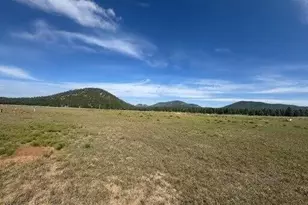 Lot 36 N Spring Valley Rd, Parks, AZ 86018 - Photo 1