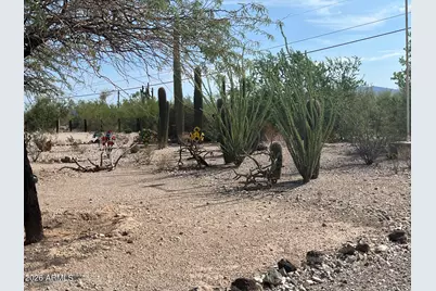 960 W Snyder Road, Ajo, AZ 85321 - Photo 3