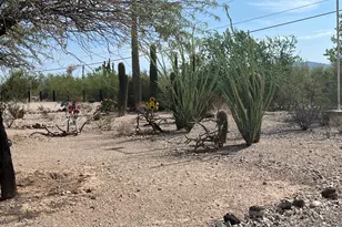 960 W Snyder Rd, Ajo, AZ 85321 - Photo 3