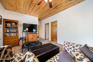 31 County Road N1022 --, Greer, AZ 85927 - Photo 15